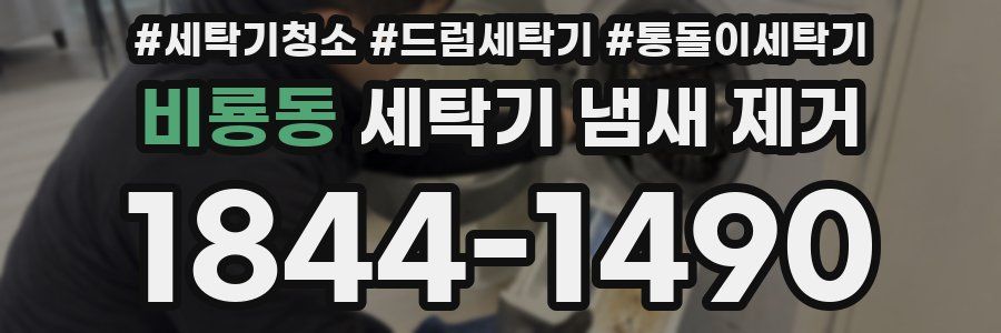 비룡동 세탁기 냄새 제거