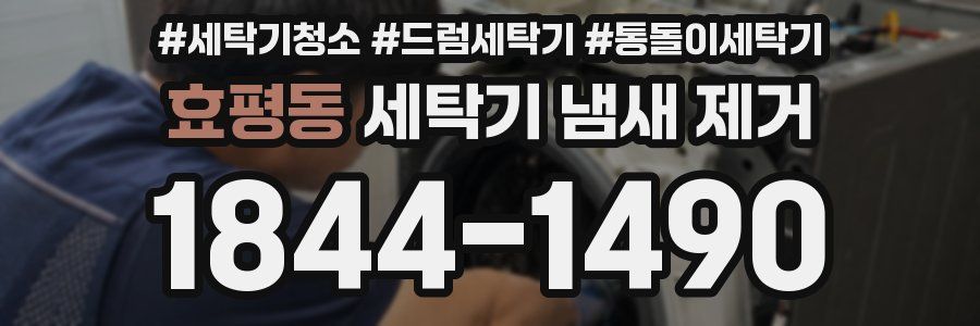 효평동 세탁기 냄새 제거