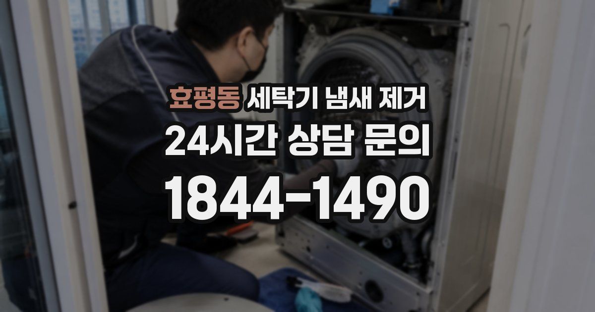 효평동 세탁기 냄새 제거
