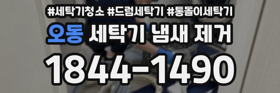 오동 세탁기 냄새 제거