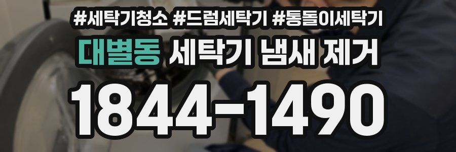 대별동 세탁기 냄새 제거