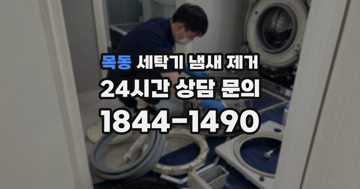 목동 세탁기 냄새 제거