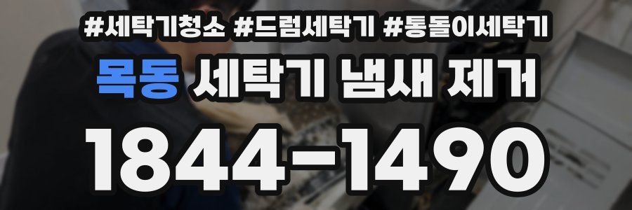 목동 세탁기 냄새 제거