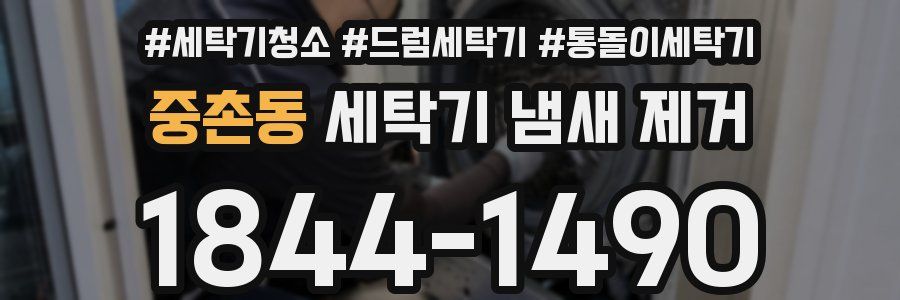 중촌동 세탁기 냄새 제거