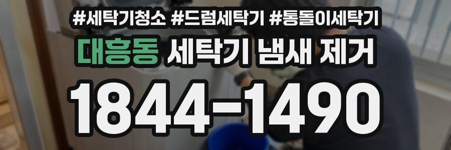 대흥동 세탁기 냄새 제거