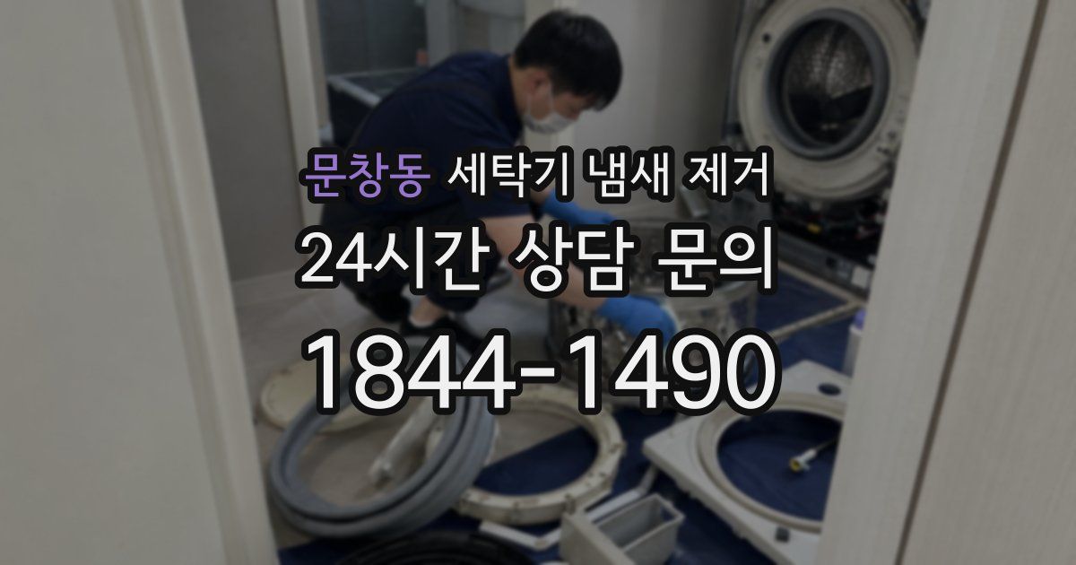 문창동 세탁기 냄새 제거