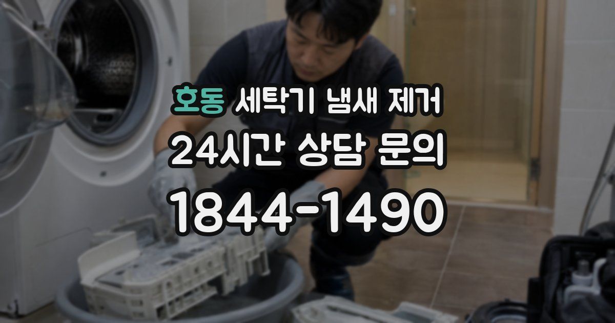 호동 세탁기 냄새 제거