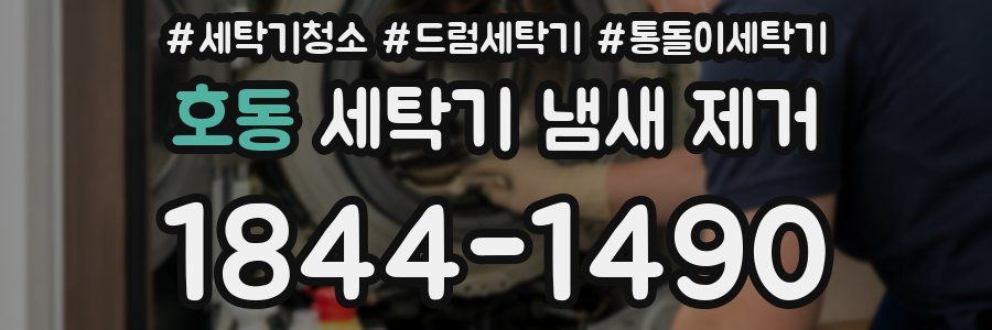 호동 세탁기 냄새 제거