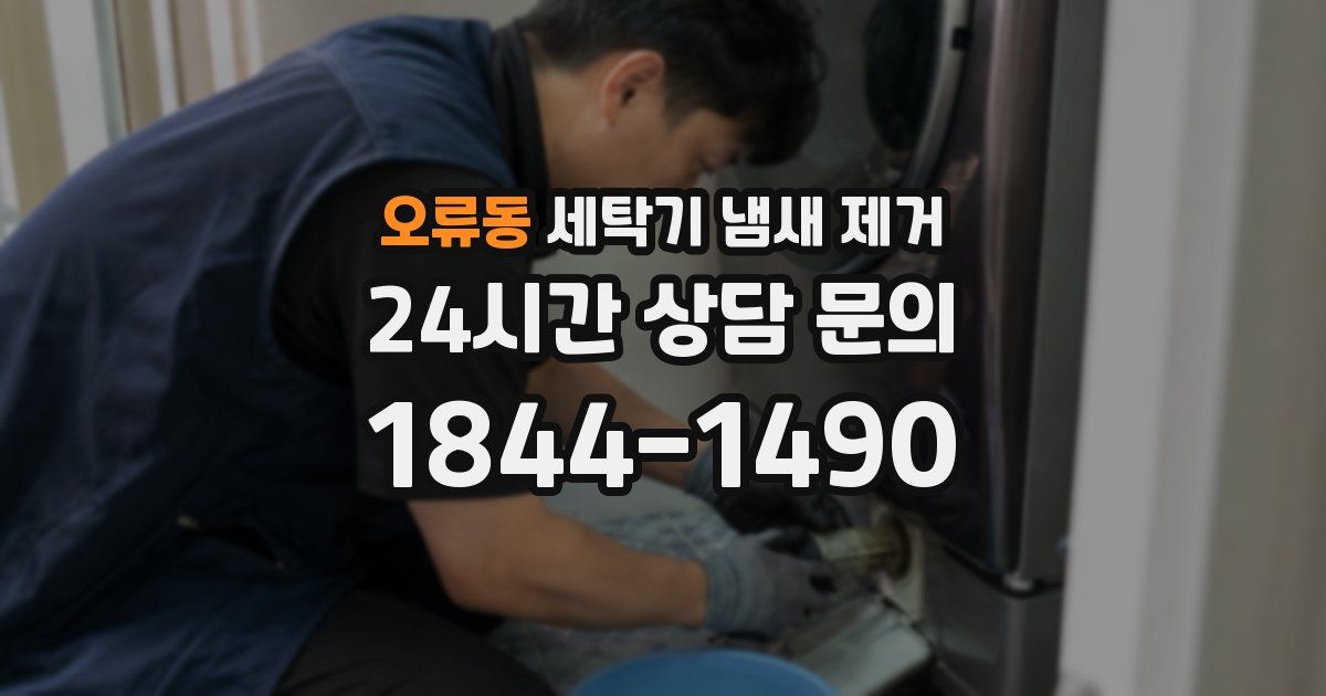 오류동 세탁기 냄새 제거