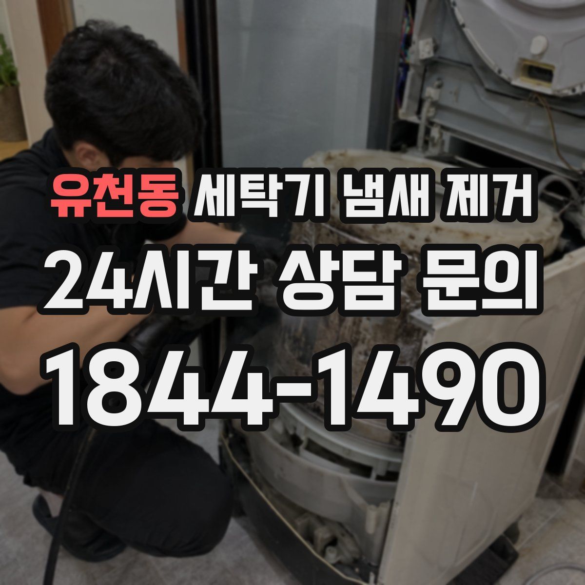 유천동 세탁기 냄새 제거
