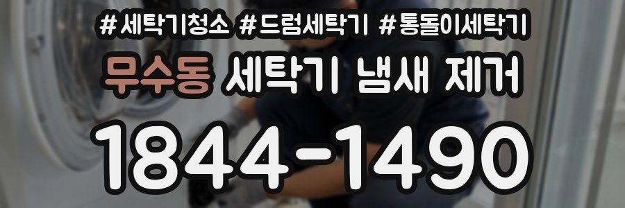무수동 세탁기 냄새 제거