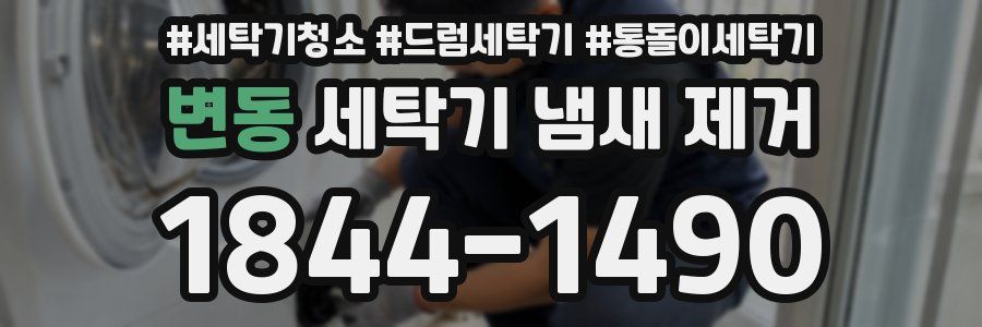 변동 세탁기 냄새 제거