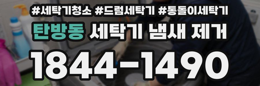 탄방동 세탁기 냄새 제거