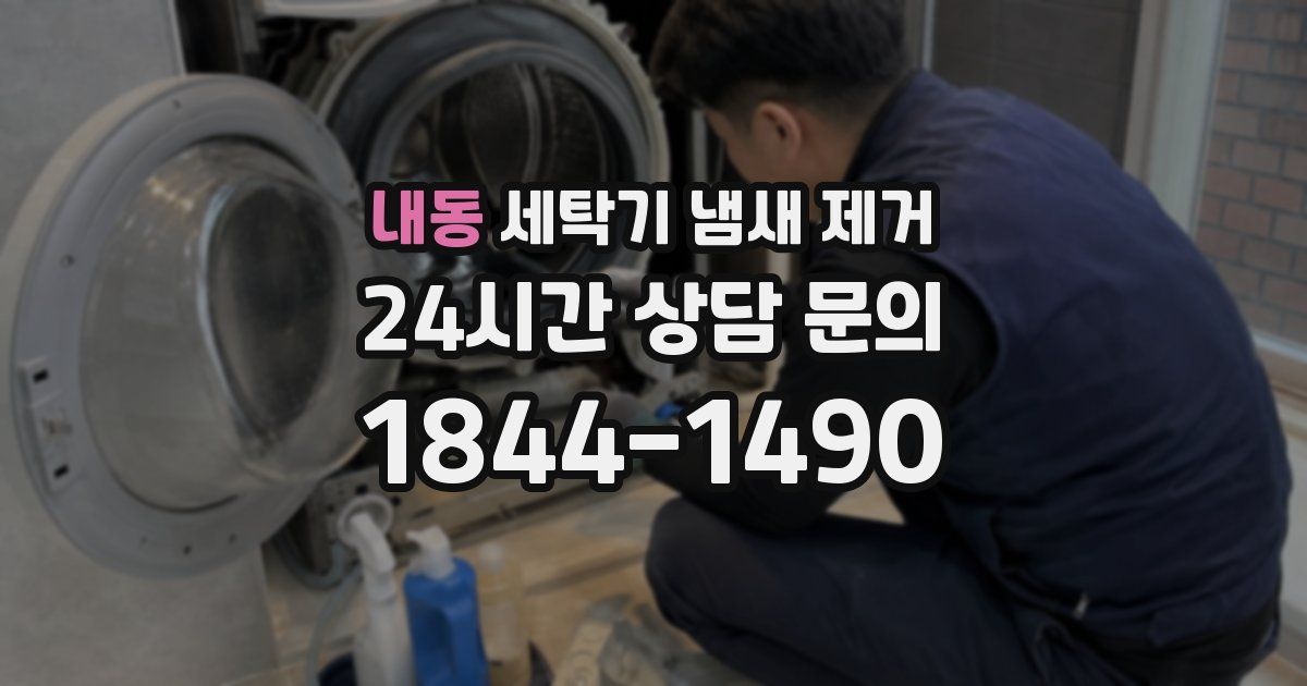 내동 세탁기 냄새 제거