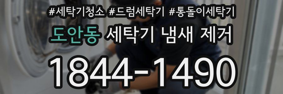 도안동 세탁기 냄새 제거