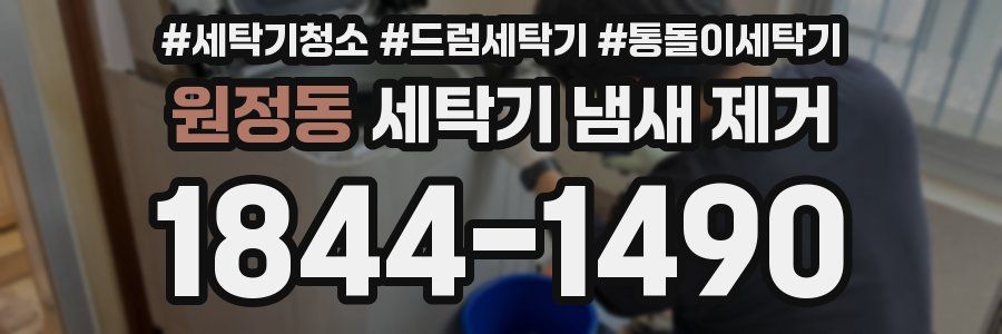 원정동 세탁기 냄새 제거
