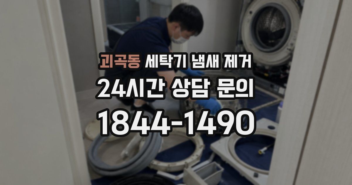 괴곡동 세탁기 냄새 제거