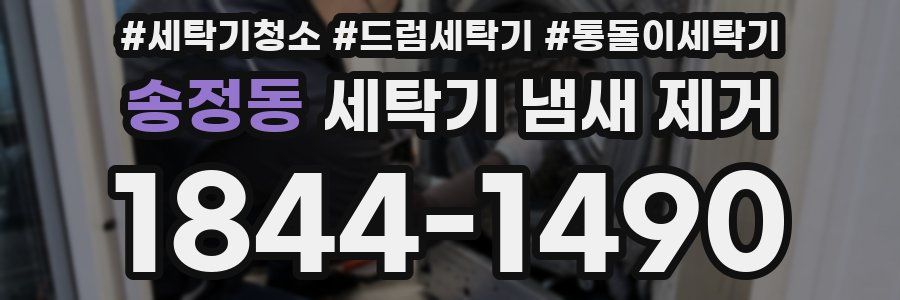 송정동 세탁기 냄새 제거