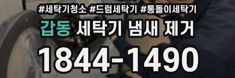 갑동 세탁기 냄새 제거