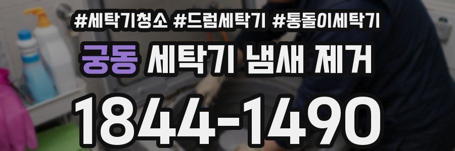 궁동 세탁기 냄새 제거