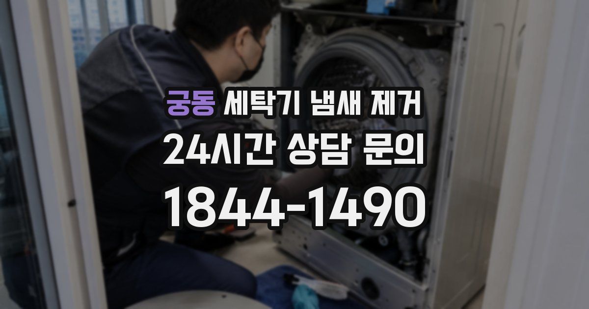 궁동 세탁기 냄새 제거