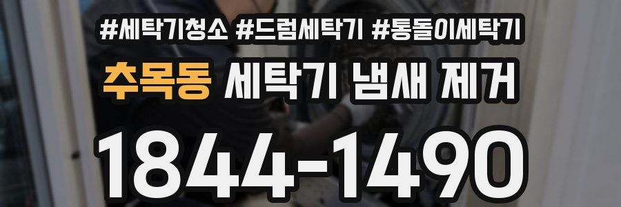 추목동 세탁기 냄새 제거