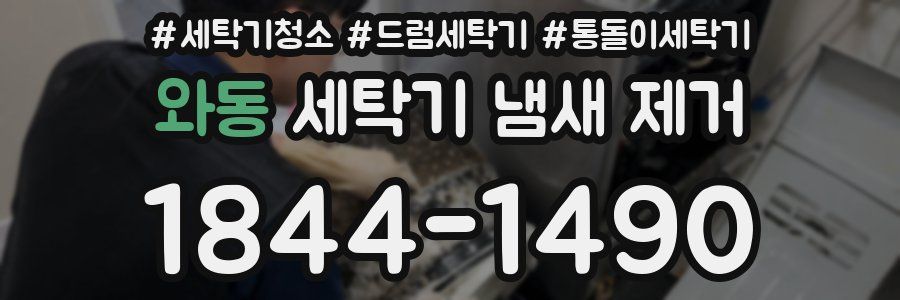 와동 세탁기 냄새 제거