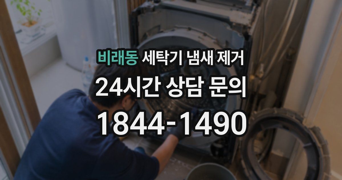 비래동 세탁기 냄새 제거