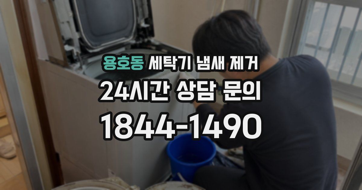 용호동 세탁기 냄새 제거