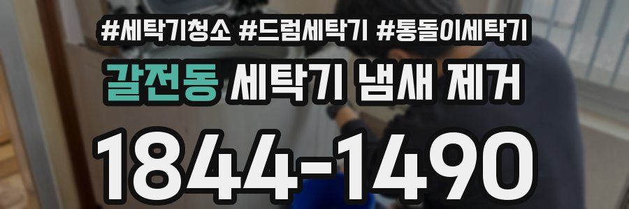 갈전동 세탁기 냄새 제거