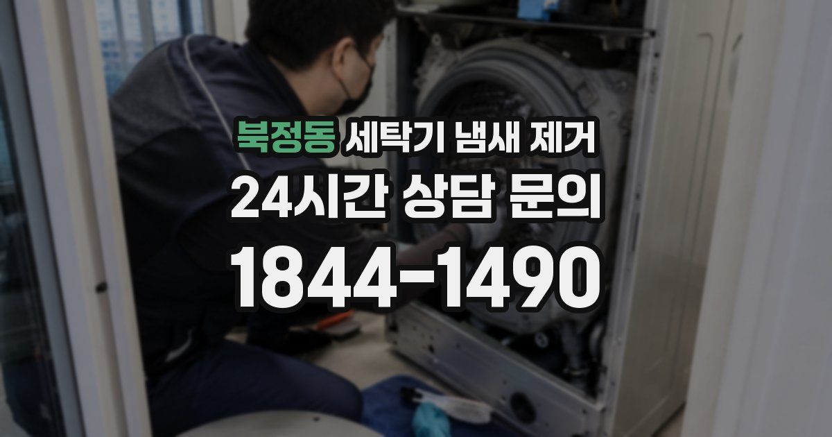북정동 세탁기 냄새 제거