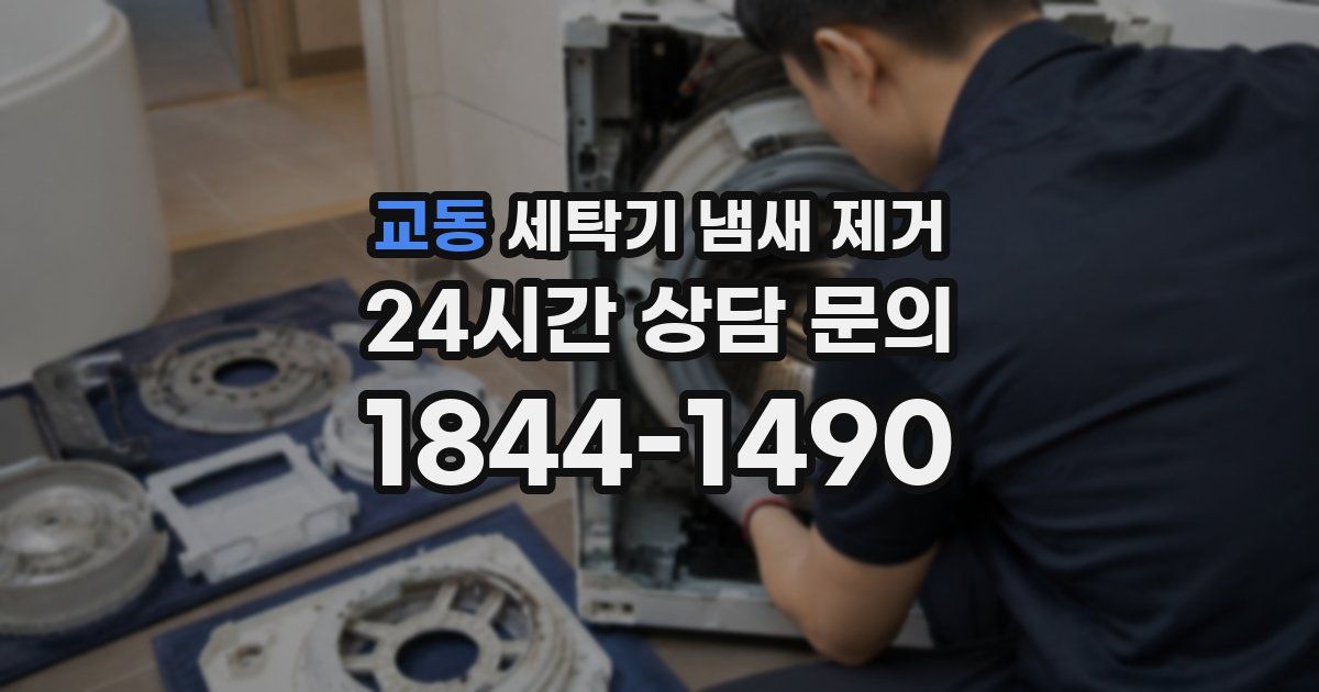 교동 세탁기 냄새 제거