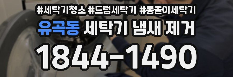 유곡동 세탁기 냄새 제거