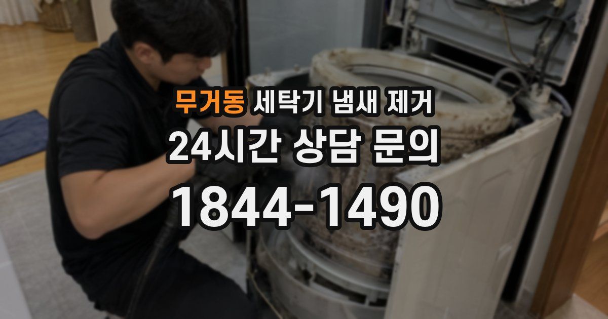 무거동 세탁기 냄새 제거