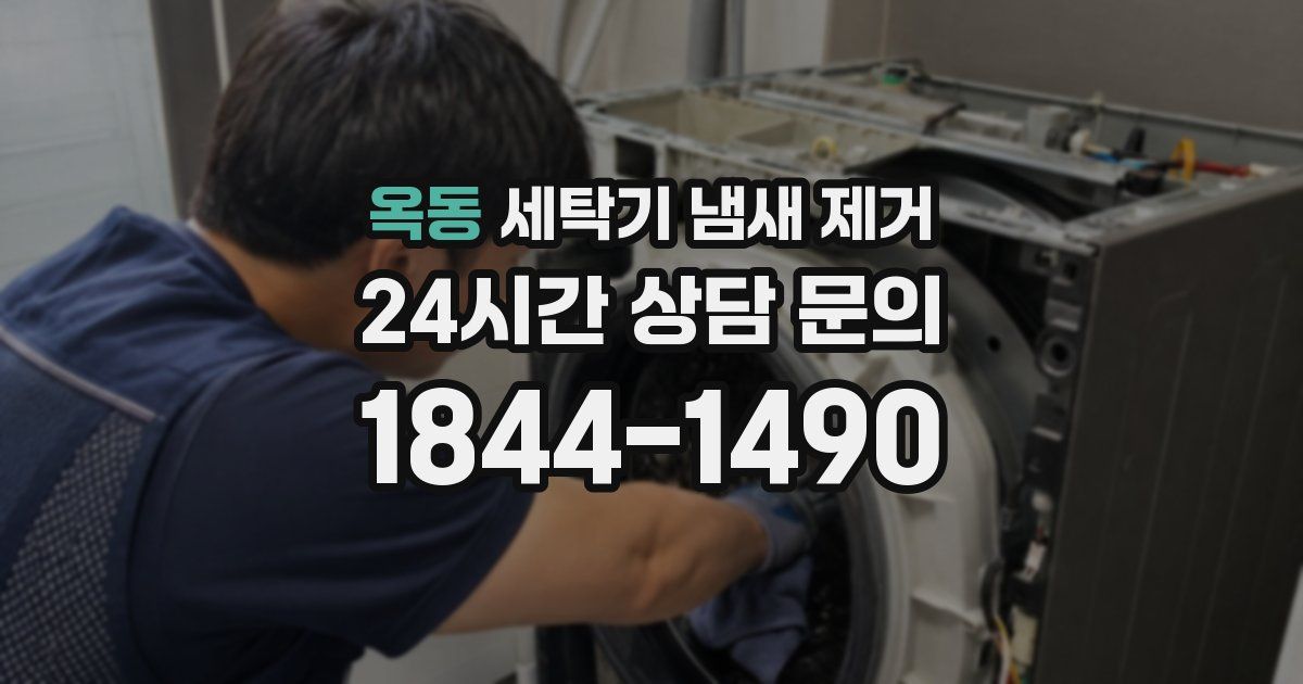 옥동 세탁기 냄새 제거
