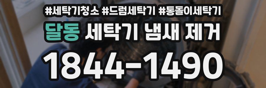 달동 세탁기 냄새 제거