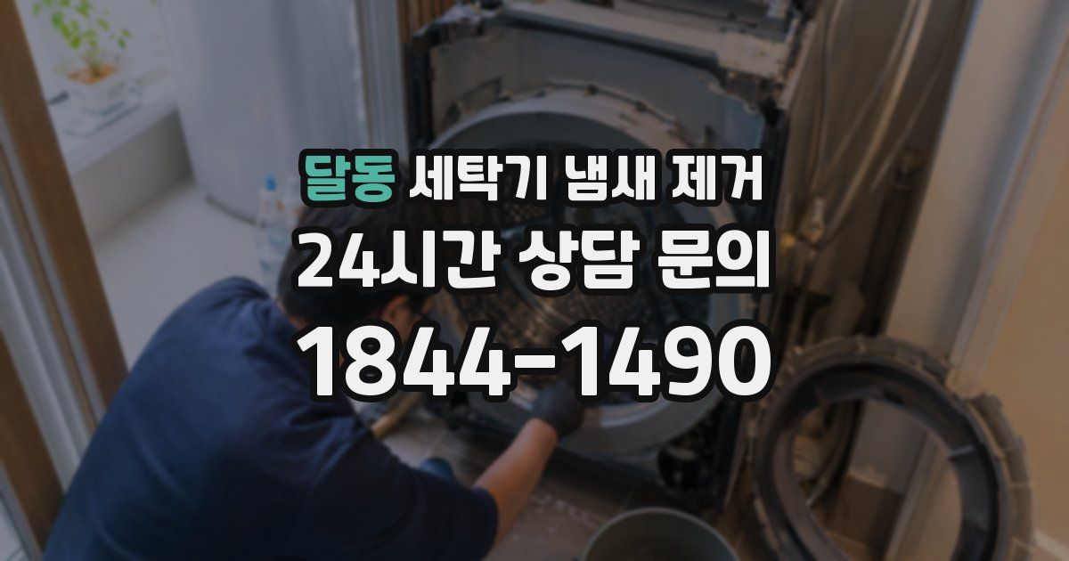 달동 세탁기 냄새 제거