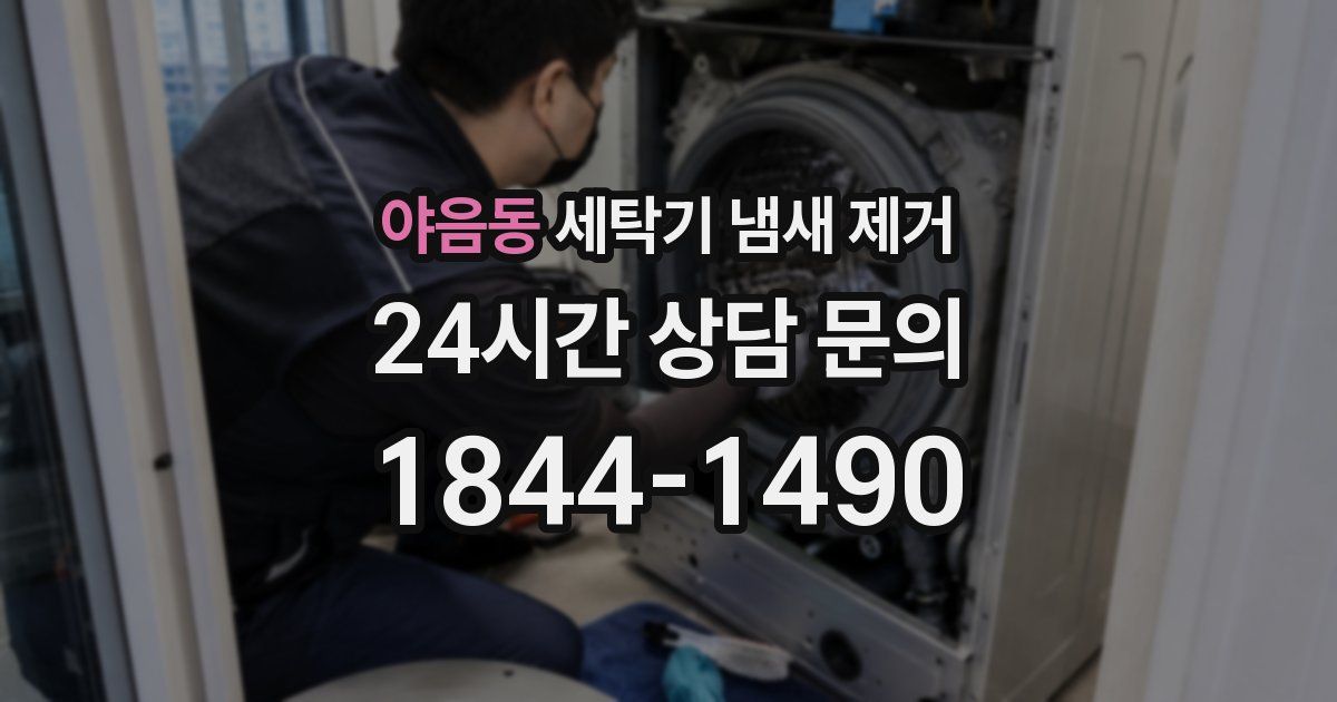 야음동 세탁기 냄새 제거