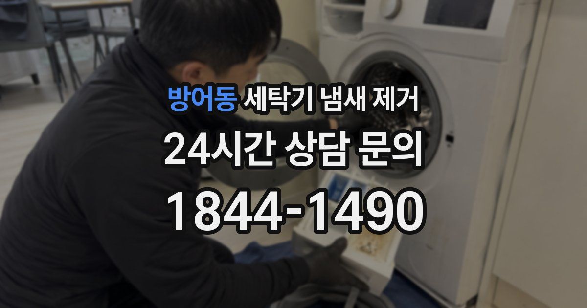 방어동 세탁기 냄새 제거
