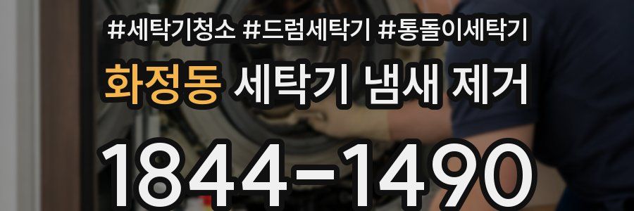 화정동 세탁기 냄새 제거