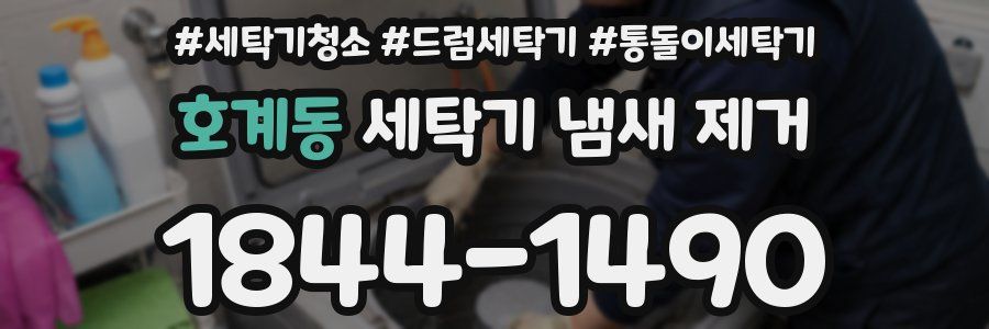 호계동 세탁기 냄새 제거