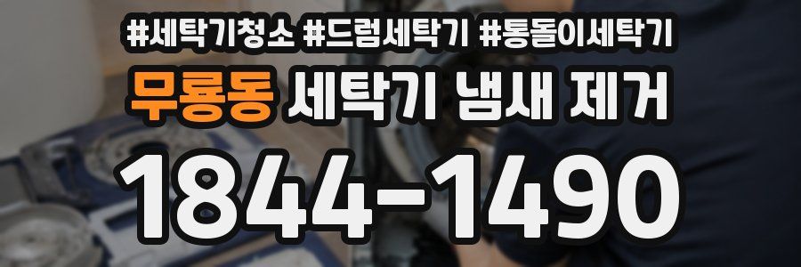 무룡동 세탁기 냄새 제거
