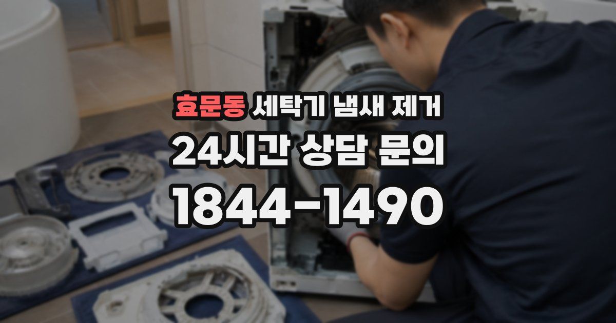 효문동 세탁기 냄새 제거