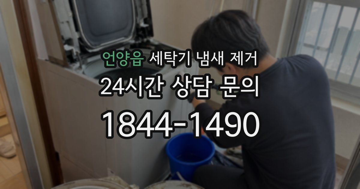 언양읍 세탁기 냄새 제거