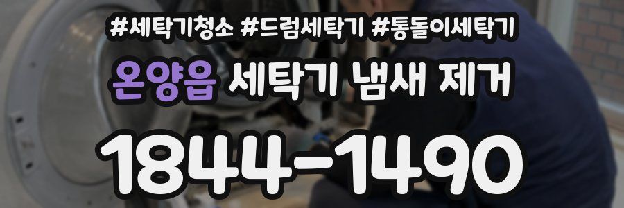 온양읍 세탁기 냄새 제거