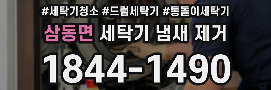 삼동면 세탁기 냄새 제거