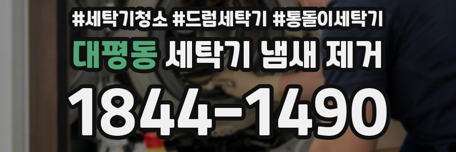 대평동 세탁기 냄새 제거