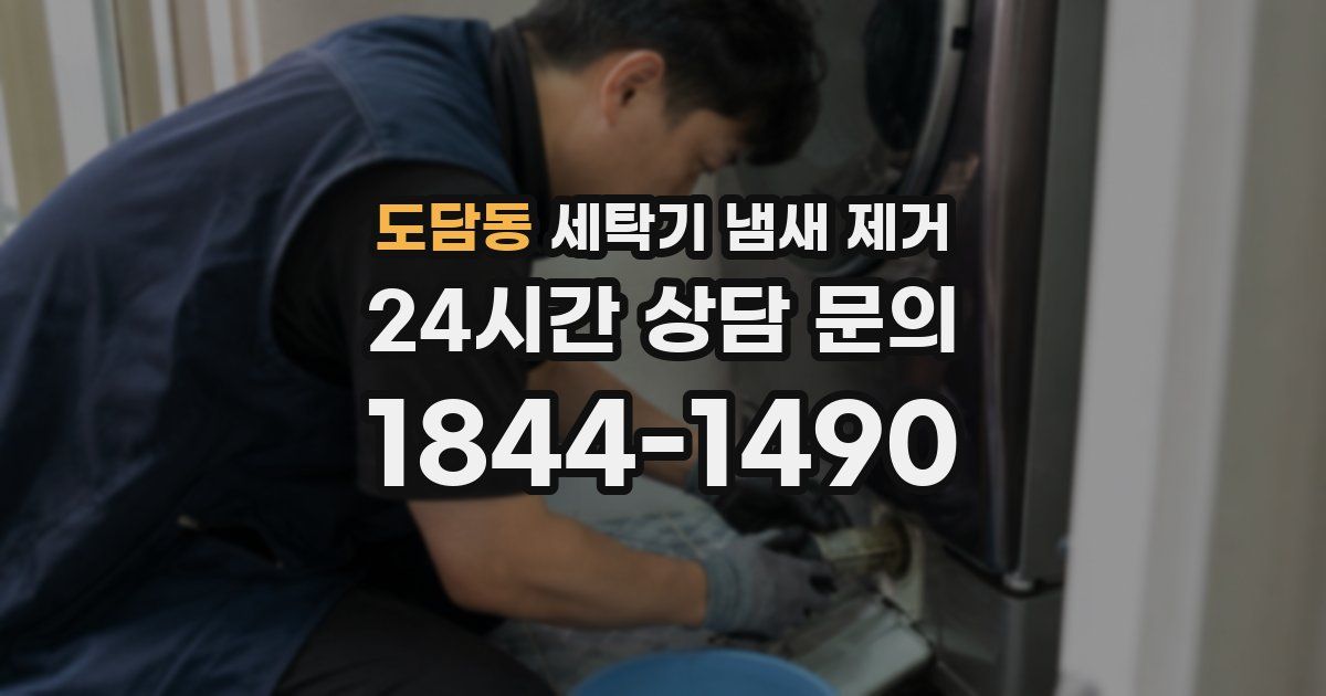 도담동 세탁기 냄새 제거