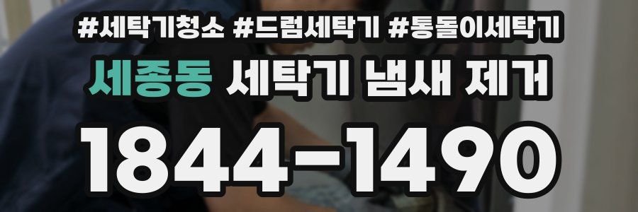 세종동 세탁기 냄새 제거