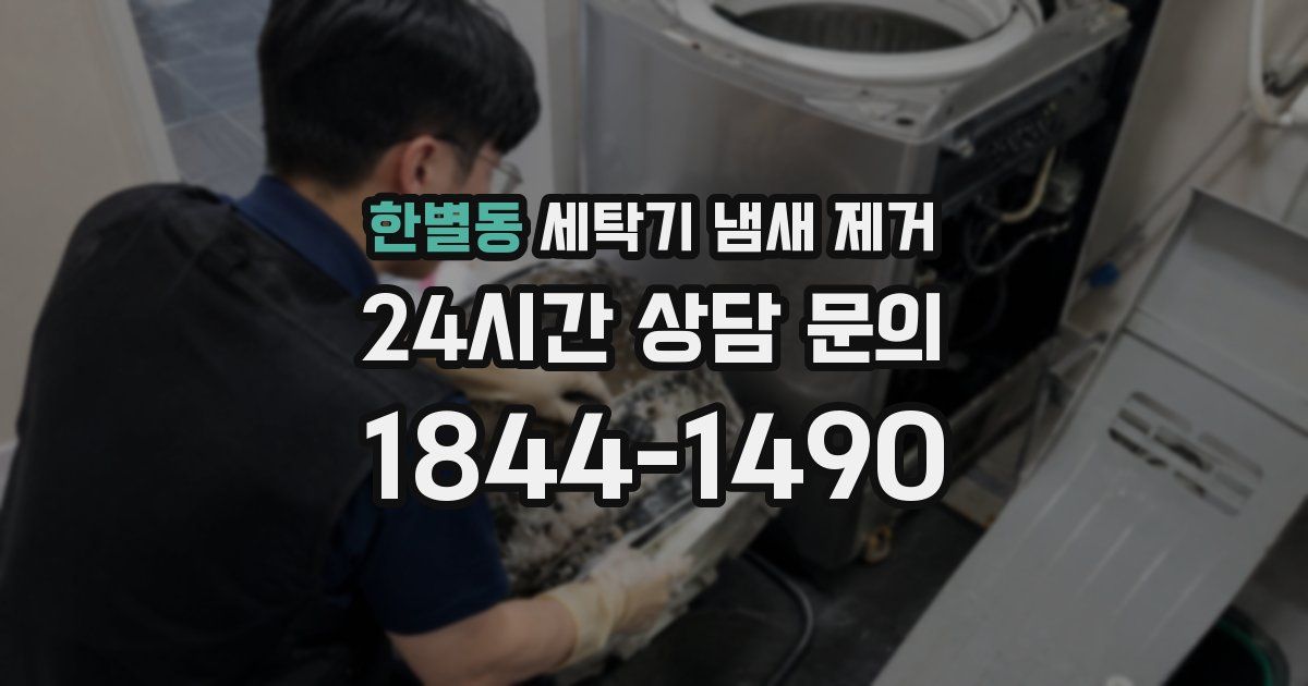 한별동 세탁기 냄새 제거